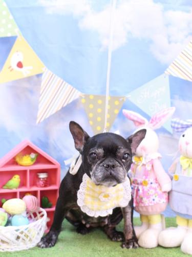 20240330さつきちゃん